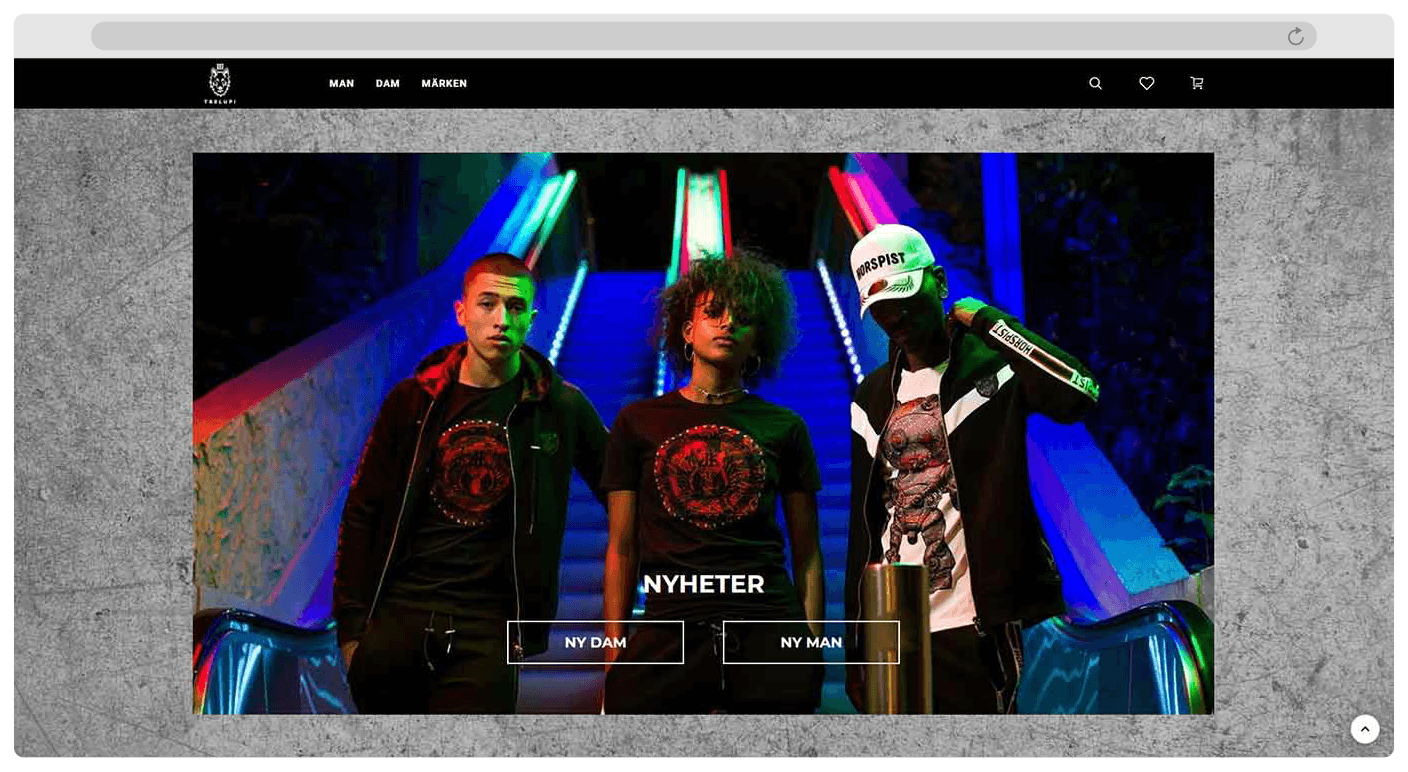  Home page desktop screen - Trelupi's website