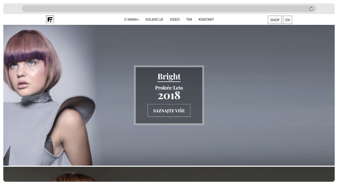 Colections page screen from Full Professional responsive website 